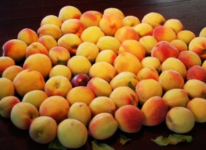 peaches