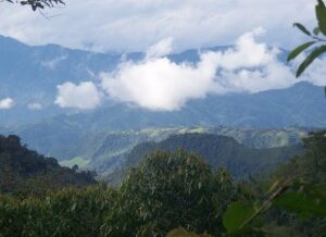 Meet your Favorite Financial Bloggers – In Ecuador